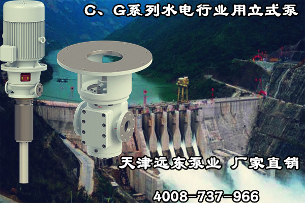 C、G系列水電行業(yè)用立式泵
